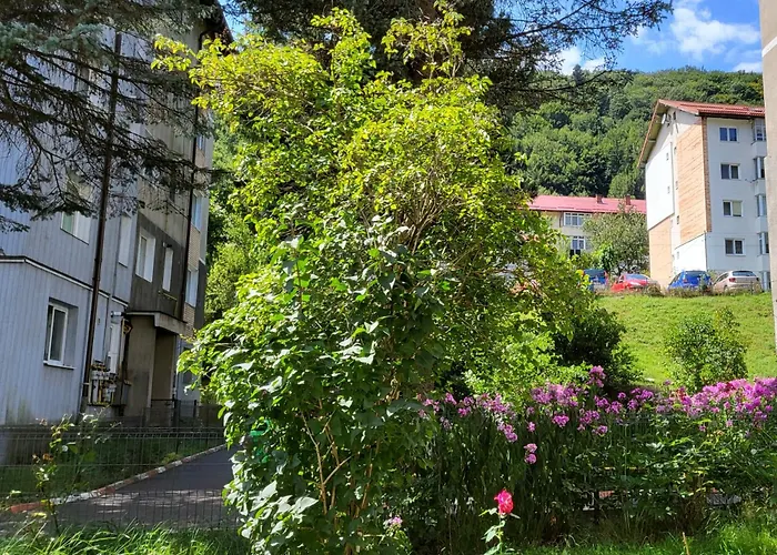 Sunshine Apartment Sinaia