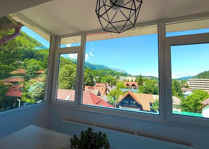 Mountain View Apartment Sinaia