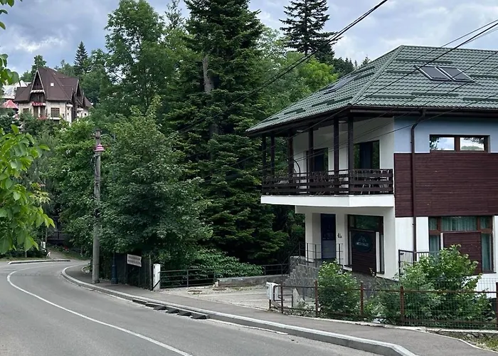 Pine Tree Residence Sinaia