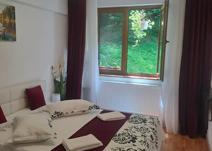 Garsoniera Flori - Sinaia Apartment