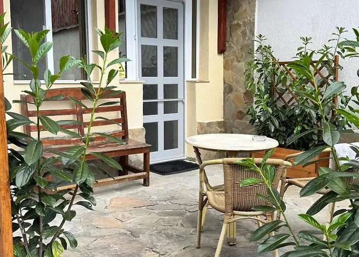 Casa Sara Apartment Sinaia