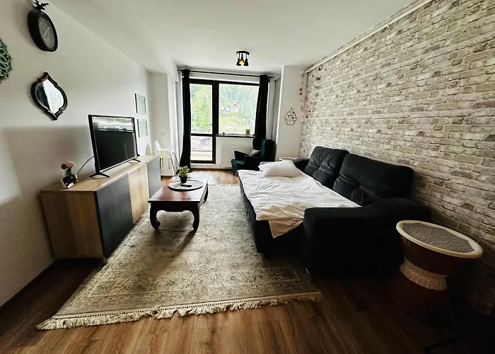 Cozy Nook Sinaia Apartment