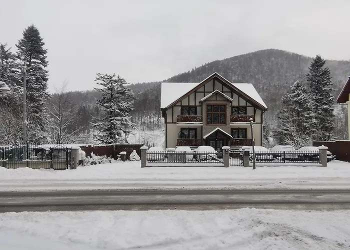 Montis View Sinaia Apartment