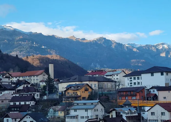 Mountain Nest - Relax And Retreat Apartment Sinaia
