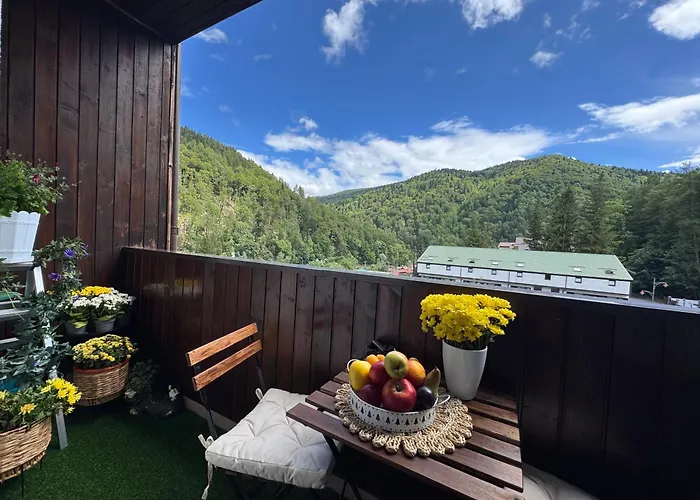 The Royal Nest Apartment Sinaia