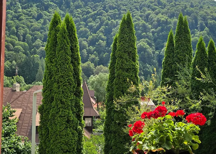 Sinaia Alex Apartments