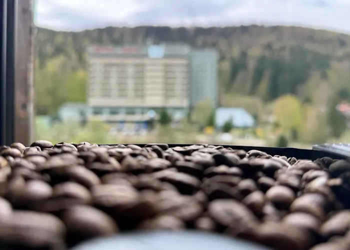 Perfect View Apartment Sinaia