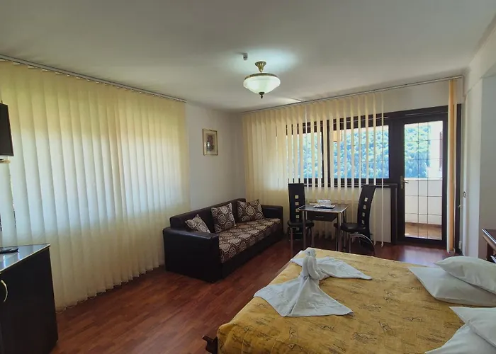 Pensiunea TV Condor Sinaia