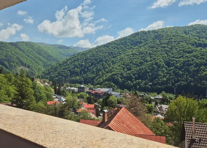Pensiunea TV Condor Sinaia