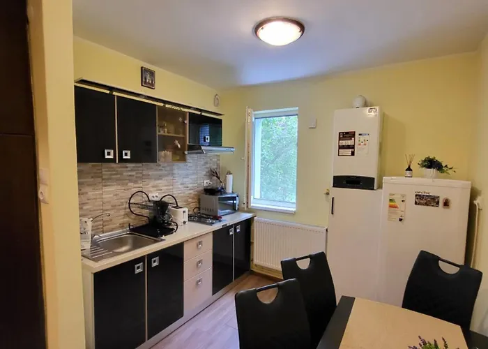 Sunshine Apartment Sinaia