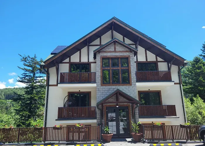Montis View Sinaia Apartment