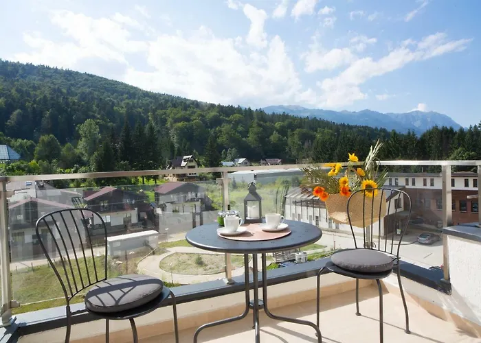 Cozy Apartments Sinaia