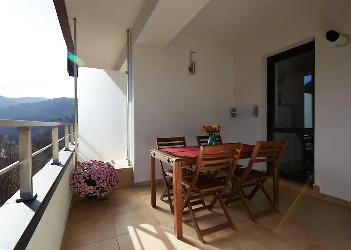 George Apartment Sinaia