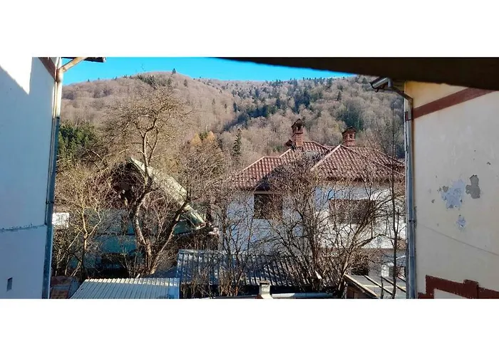 Vaso Apartament Sinaia