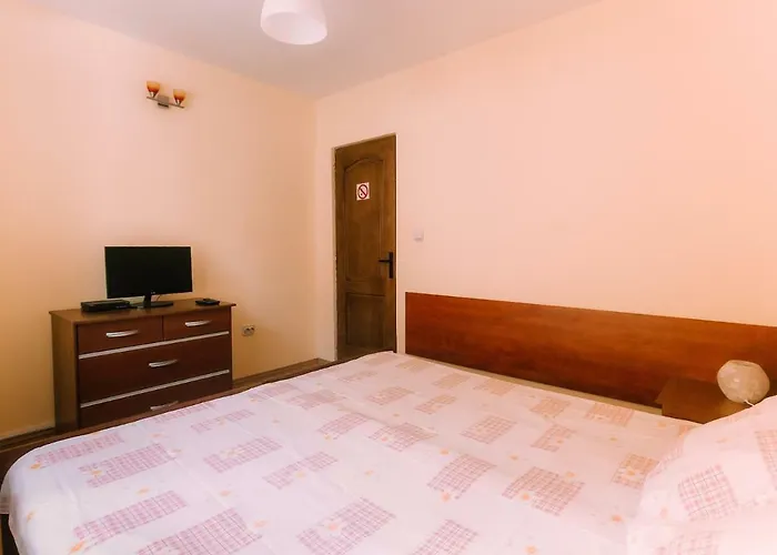Spacious Apartment Near Peles Sinaia