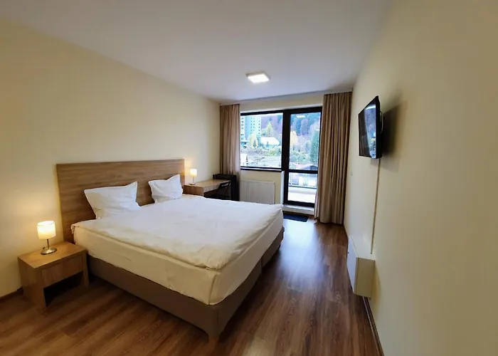 Studio Mountain View Sinaia