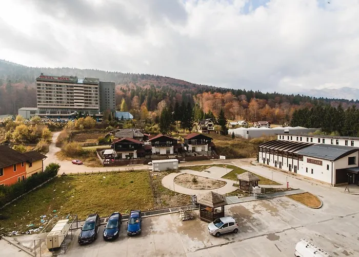 Studio Mountain View Sinaia